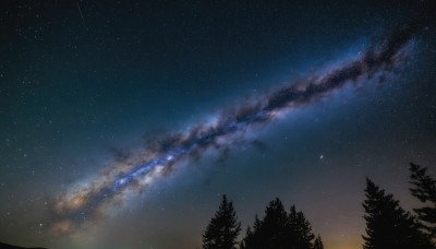 outdoors,sky,cloud,tree,no humans,night,star (sky),nature,night sky,scenery,forest,starry sky,shooting star,milky way