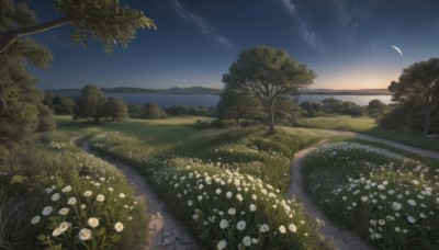 flower,outdoors,sky,cloud,water,tree,no humans,night,moon,grass,plant,white flower,star (sky),nature,night sky,scenery,starry sky,reflection,mountain,horizon,road,field,crescent moon,landscape,path,hill,sunset,bush,river,twilight,evening,gradient sky,sunrise