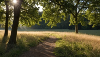 outdoors,sky,day,tree,no humans,sunlight,grass,plant,nature,scenery,forest,light rays,sun,road,bush,path,cloud,blue sky,shadow,lens flare,field,landscape