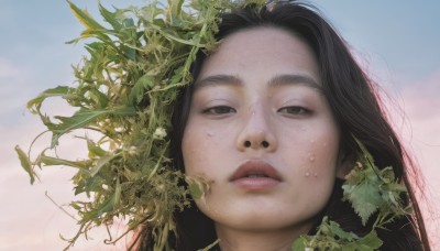 1girl,solo,long hair,looking at viewer,black hair,brown eyes,sweat,outdoors,parted lips,sky,teeth,day,cloud,black eyes,blue sky,lips,leaf,plant,portrait,freckles,realistic,nose,bangs,brown hair,messy hair,close-up,forehead,vines