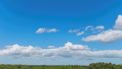 outdoors,sky,day,cloud,tree,blue sky,no humans,cloudy sky,grass,nature,scenery,forest,horizon,field,landscape