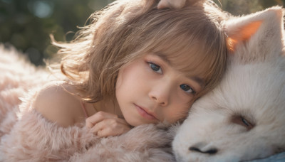 1girl, solo, long hair, looking at viewer, bangs, blue eyes, blonde hair, brown hair, animal ears, bare shoulders, closed mouth, lying, cat ears, off shoulder, blurry, lips, depth of field, blurry background, animal, close-up, dog, realistic, nose