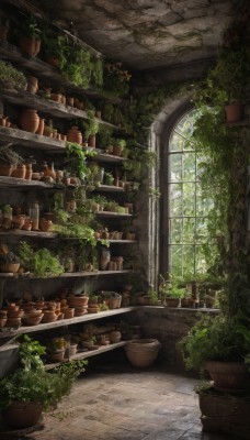 day,indoors,tree,no humans,window,sunlight,bottle,plant,scenery,potted plant,vines,brick wall,shelf,moss,artist name,signature,wall,jar,arch,stone wall