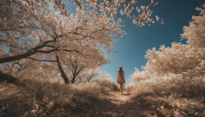 1girl, solo, short hair, skirt, outdoors, sky, day, tree, blue sky, grass, scenery, walking