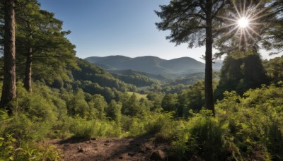 outdoors,sky,day,cloud,tree,blue sky,no humans,sunlight,grass,nature,scenery,forest,mountain,road,bush,landscape,path,plant