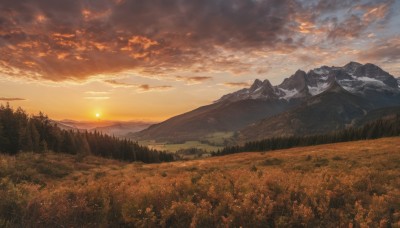 outdoors,sky,cloud,tree,no humans,sunlight,cloudy sky,grass,nature,scenery,forest,sunset,mountain,sun,field,evening,landscape,mountainous horizon,orange sky,hill