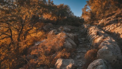 outdoors,sky,day,tree,blue sky,no humans,leaf,nature,scenery,forest,rock,autumn leaves,autumn,stone,1girl,solo