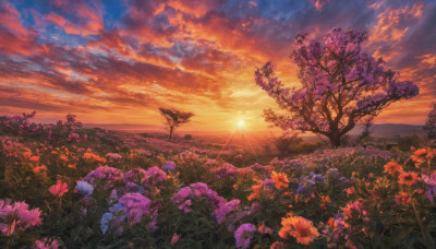 flower, outdoors, sky, cloud, tree, dutch angle, no humans, cloudy sky, grass, scenery, sunset, purple flower, sun, horizon, field, flower field