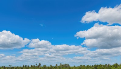 outdoors,sky,day,cloud,tree,blue sky,no humans,cloudy sky,nature,scenery,forest,summer,grass