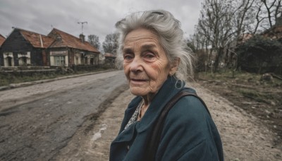 1girl,solo,looking at viewer,smile,blue eyes,shirt,1boy,jewelry,closed mouth,jacket,upper body,white hair,grey hair,earrings,outdoors,sky,day,cloud,necklace,tree,cloudy sky,blue shirt,building,realistic,road,house,old,lamppost,old man,bare tree,photo background,grey sky,old woman,wrinkled skin,short hair,bag,scenery