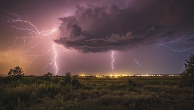 outdoors,sky,cloud,tree,no humans,cloudy sky,grass,nature,scenery,sunset,electricity,field,lightning,landscape,night,night sky,dark