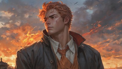 solo,short hair,blonde hair,brown hair,shirt,1boy,brown eyes,closed mouth,jacket,white shirt,upper body,male focus,outdoors,open clothes,necktie,sky,collared shirt,cloud,vest,black jacket,looking to the side,blood,bird,scar,looking away,thick eyebrows,cloudy sky,red necktie,building,sunset,blood on face,realistic,open jacket,fire,injury