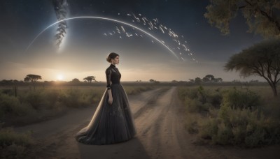 1girl,solo,short hair,brown hair,black hair,long sleeves,dress,jewelry,closed mouth,standing,earrings,outdoors,sky,hair bun,black dress,from side,tree,profile,night,bird,single hair bun,grass,star (sky),night sky,scenery,starry sky,sunset,long dress,closed eyes,wide shot,shooting star