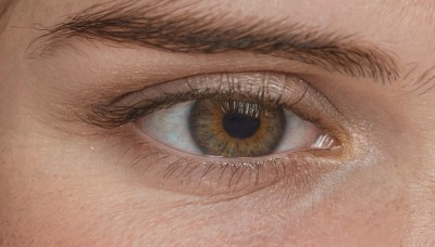 solo,looking at viewer,blue eyes,1boy,male focus,eyelashes,traditional media,close-up,1other,reflection,realistic,eye focus,brown theme