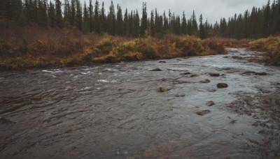 outdoors,sky,day,cloud,tree,no humans,cloudy sky,nature,scenery,snow,forest,rock,mountain,road,winter,bare tree,landscape,grey sky,pine tree,water,river