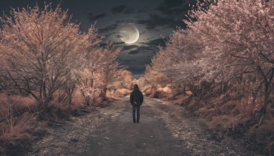 solo,short hair,1boy,standing,monochrome,male focus,outdoors,sky,pants,cloud,from behind,tree,night,moon,cloudy sky,grass,cherry blossoms,nature,night sky,scenery,full moon,hands in pockets,wide shot,bare tree,1other,ambiguous gender