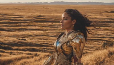 1girl,solo,long hair,brown hair,black hair,brown eyes,jewelry,upper body,earrings,outdoors,dark skin,armor,dark-skinned female,lips,looking to the side,floating hair,wind,shoulder armor,pauldrons,breastplate,realistic,looking afar,from side,profile,grass,scenery,nose,sand,field,gold armor