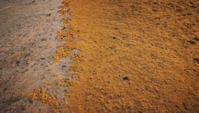 outdoors,day,tree,no humans,leaf,from above,traditional media,nature,scenery,forest,rock,autumn leaves,autumn,orange theme,shadow,grass,ground vehicle,motor vehicle,car,road,path,footprints