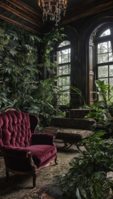 day,indoors,tree,dutch angle,no humans,window,leaf,chair,table,sunlight,plant,scenery,couch,potted plant,candle,armchair,candlestand,chandelier,wooden floor,lamp,carpet