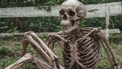 solo,upper body,outdoors,teeth,blurry,tree,no humans,blurry background,skull,ribs,skeleton,bone,horror (theme),grass,plant,nature,moss,overgrown