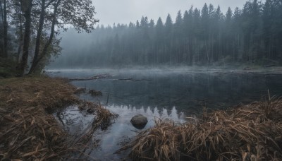 outdoors,sky,day,cloud,water,tree,no humans,grass,nature,scenery,forest,reflection,rain,river,landscape,lake,fog,cloudy sky,rock,mountain