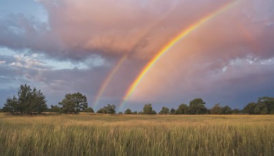 outdoors,sky,day,cloud,tree,blue sky,no humans,cloudy sky,grass,nature,scenery,forest,sunset,field,rainbow,sunlight