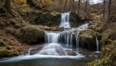 outdoors,day,water,tree,no humans,sunlight,nature,scenery,forest,river,waterfall,landscape,rock,branch,moss,stream