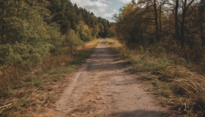 outdoors,sky,day,cloud,tree,blue sky,no humans,sunlight,cloudy sky,grass,ground vehicle,nature,scenery,forest,road,bicycle,landscape,path,realistic