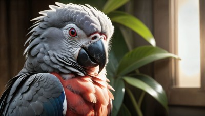 HQ,solo,looking at viewer,red eyes,closed mouth,upper body,day,indoors,blurry,pokemon (creature),no humans,window,depth of field,blurry background,bird,animal,feathers,plant,realistic,potted plant,animal focus,beak,from side,leaf