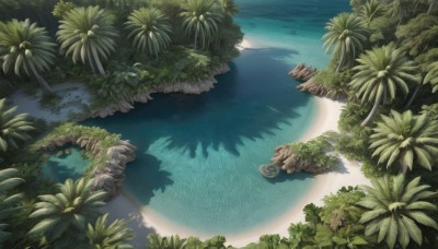 outdoors,day,water,tree,no humans,shadow,ocean,leaf,from above,beach,sunlight,grass,plant,nature,scenery,forest,rock,sand,palm tree,river,shore,reflection,bush,reflective water