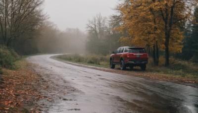 outdoors,day,tree,no humans,leaf,grass,ground vehicle,nature,scenery,motor vehicle,forest,car,road,autumn leaves,vehicle focus,autumn,sports car,sky,realistic,bare tree