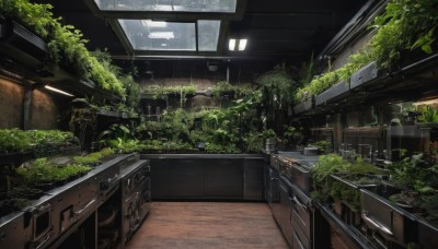 indoors,tree,no humans,window,plant,scenery,stairs,ruins,moss,ceiling light,overgrown,building,ceiling