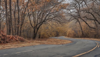 outdoors,sky,day,tree,no humans,leaf,grass,nature,scenery,forest,road,autumn leaves,bare tree,autumn,path,cloud,realistic,street,landscape