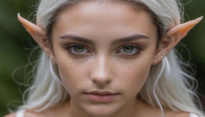 1girl,solo,long hair,looking at viewer,brown eyes,jewelry,closed mouth,green eyes,white hair,earrings,pointy ears,blurry,lips,eyelashes,depth of field,blurry background,elf,portrait,close-up,freckles,realistic,nose