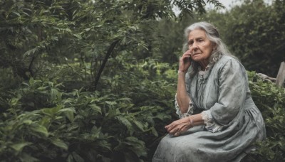 1girl,solo,long hair,looking at viewer,long sleeves,dress,jewelry,sitting,closed mouth,white hair,grey hair,outdoors,day,hand up,necklace,bracelet,tree,ring,plant,nature,realistic,grey dress,old,old man,old woman,wrinkled skin,white dress,leaf,scar,bush