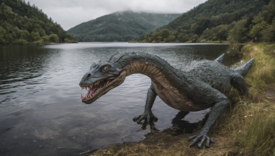 open mouth,yellow eyes,outdoors,sky,teeth,day,cloud,water,tree,no humans,fangs,grass,sharp teeth,nature,scenery,claws,forest,reflection,monster,mountain,dragon,scales,river,lake,dinosaur,kaijuu,solo,realistic