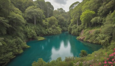 flower,outdoors,sky,day,cloud,water,tree,no humans,grass,plant,nature,scenery,forest,reflection,bush,river,waterfall,landscape,fog,pond,cloudy sky,green theme,lake