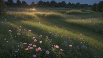 flower,outdoors,sky,day,tree,no humans,night,grass,plant,nature,scenery,pink flower,forest,blue flower,field,night sky,bush,flower field,landscape