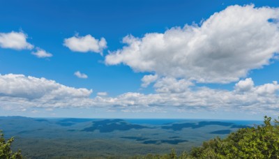 flower,outdoors,sky,day,cloud,tree,blue sky,no humans,ocean,cloudy sky,grass,plant,nature,scenery,forest,mountain,horizon,field,summer,landscape,mountainous horizon,hill,signature,water,bird,island