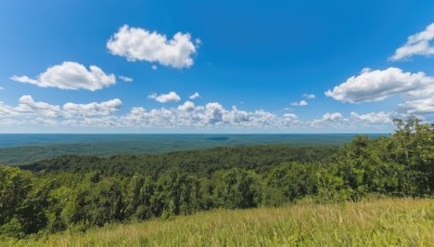 outdoors,sky,day,cloud,tree,blue sky,no humans,cloudy sky,grass,nature,scenery,forest,mountain,horizon,field,landscape,mountainous horizon,hill,water,ocean