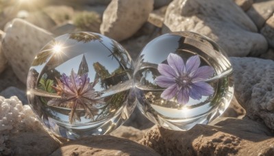 flower,outdoors,sky,day,blurry,tree,no humans,sparkle,depth of field,leaf,sunlight,scenery,reflection,crystal,rock,fantasy,purple flower,still life,cloud,blurry background,glint,globe