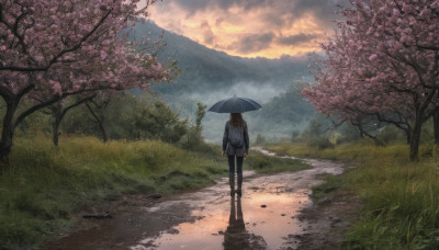 1girl, solo, long hair, brown hair, long sleeves, holding, standing, pantyhose, outdoors, sky, pants, cloud, from behind, tree, dutch angle, shadow, umbrella, cloudy sky, grass, cherry blossoms, scenery, walking, holding umbrella, mountain, road, wide shot, path