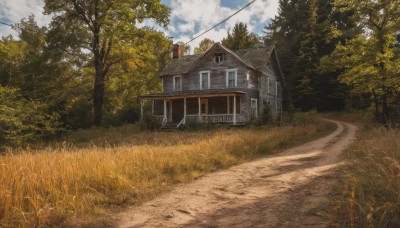 outdoors,sky,day,cloud,tree,blue sky,no humans,window,cloudy sky,grass,building,nature,scenery,forest,fence,door,road,bush,house,path,realistic,power lines