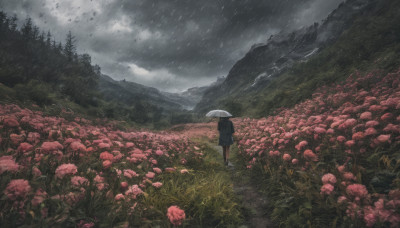 1girl, solo, black hair, holding, standing, flower, outdoors, sky, cloud, from behind, tree, umbrella, cloudy sky, nature, scenery, rain, holding umbrella, mountain, field, wide shot, flower field, grey sky, overcast