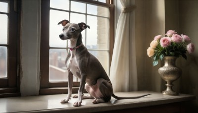 HQ,solo,flower,day,indoors,black eyes,collar,no humans,window,rose,animal,curtains,pink flower,dog,realistic,animal focus,pink rose,vase,tail,horns,plant,potted plant,red collar,animal collar