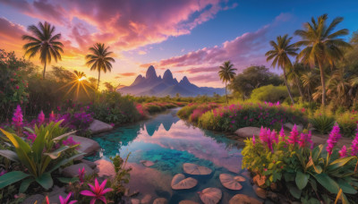 flower, outdoors, sky, cloud, water, tree, no humans, cloudy sky, grass, plant, nature, scenery, reflection, sunset, rock, mountain, palm tree, sun