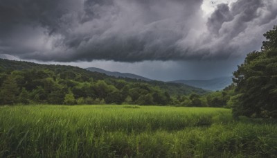 outdoors,sky,day,cloud,tree,no humans,cloudy sky,grass,nature,scenery,forest,mountain,field,landscape,hill