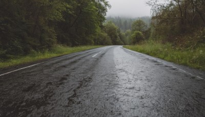 outdoors,sky,day,cloud,tree,no humans,grass,nature,scenery,forest,road,landscape,path,cloudy sky,bush