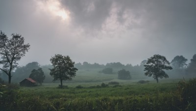 outdoors,sky,day,cloud,tree,no humans,cloudy sky,grass,building,nature,scenery,forest,mountain,house,landscape,sunlight,bush,field,fog