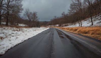 outdoors,sky,day,cloud,tree,no humans,cloudy sky,grass,nature,scenery,snow,forest,road,winter,bare tree,grey sky,overcast,realistic,landscape,path